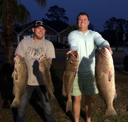 Inshore Fishing Haven in Florida